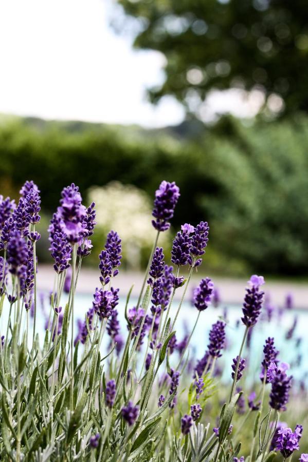 كان A Bascule Bed And Breakfast Maastricht المظهر الخارجي الصورة